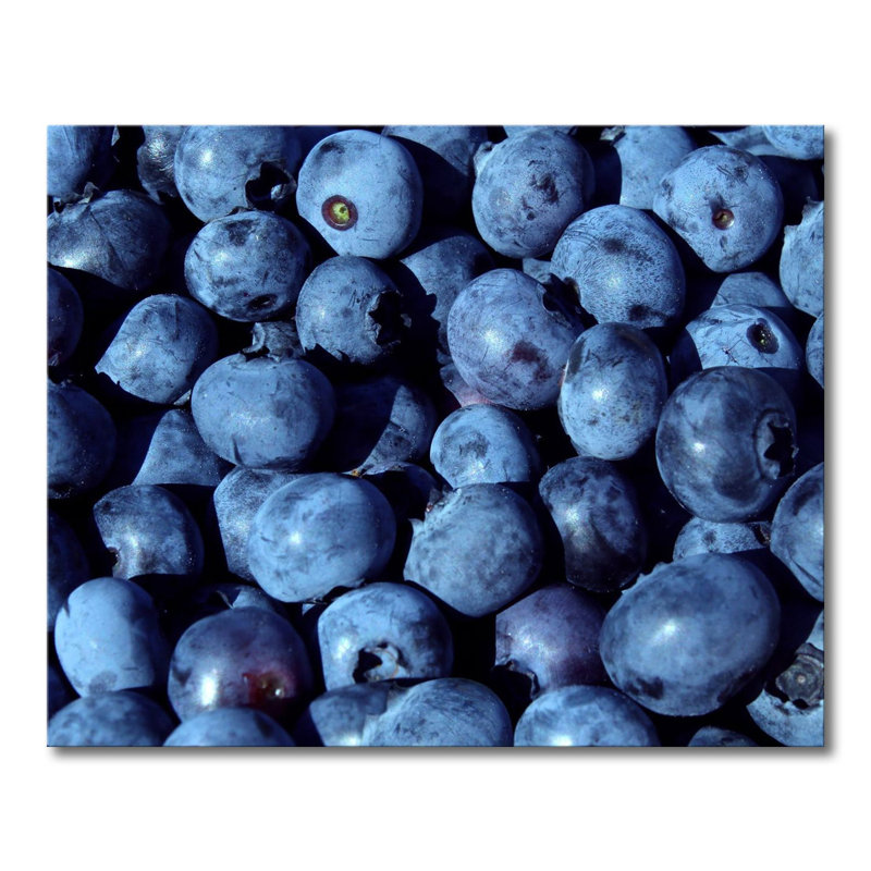 Wrapped Canvas Print, 80cm H x 100cm W x 2cm D