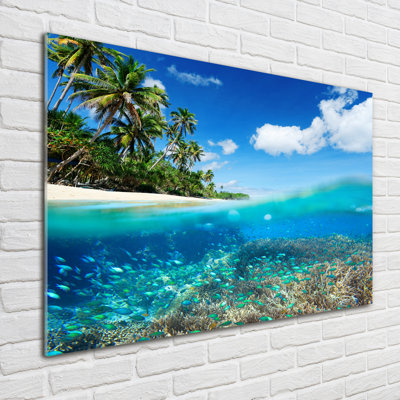 Coral Reef - Print