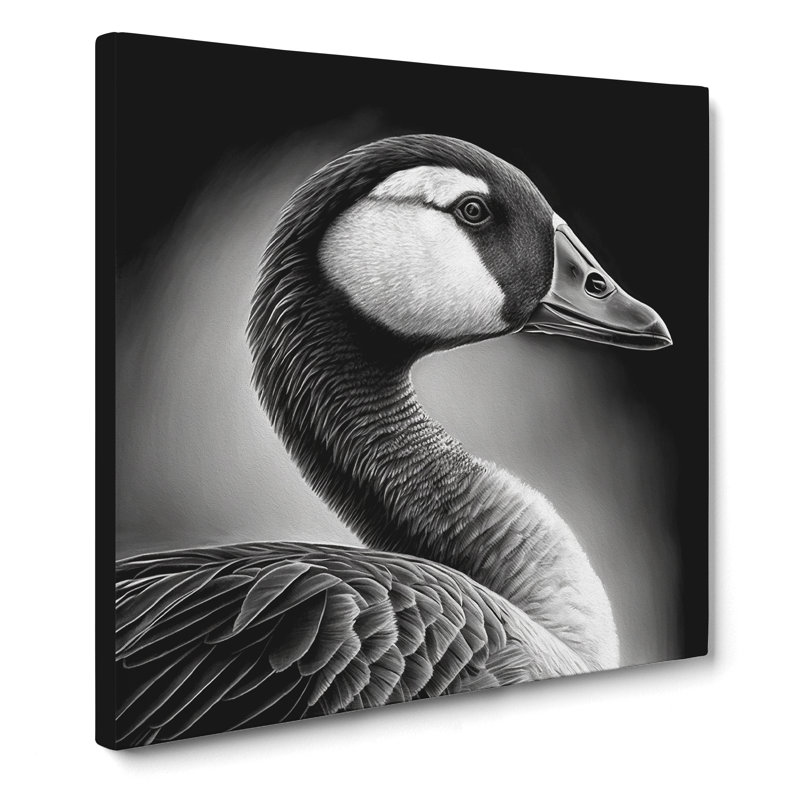 Goose Drawing - Print