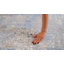 Tapis beige / bleu Stella-90579012