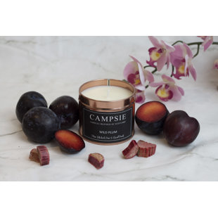Wild Plum Scented Jar Candle