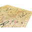 High-Quality Hand-Knotted Green And Ivory Area Rug
