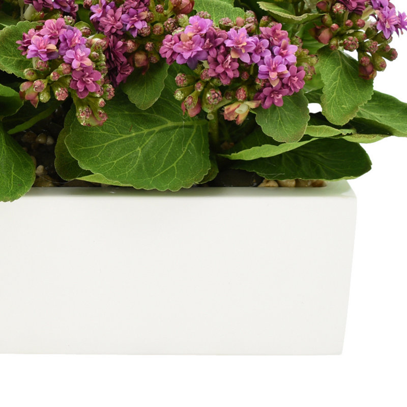 Kalanchoe Arrangement in Fiberstone Planter, Yellow, 9.5" H x 18" W x 9.5" D
