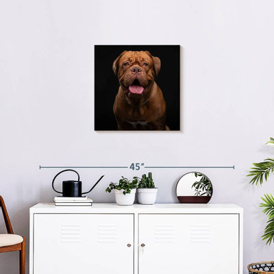 Crowle Bordeaux Mastiff