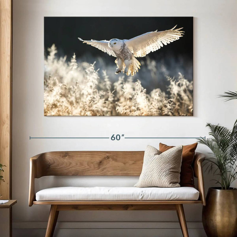 Chasse au hibou des neiges, H 34 po x l 51 po