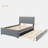 Velvet Upholstered Platform Bed with Trundle-112511389-106492948