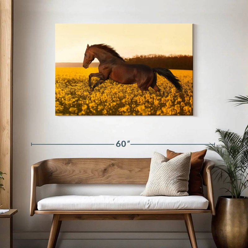 Brampt dans un champ de fleurs, H 30 po x l 45 po