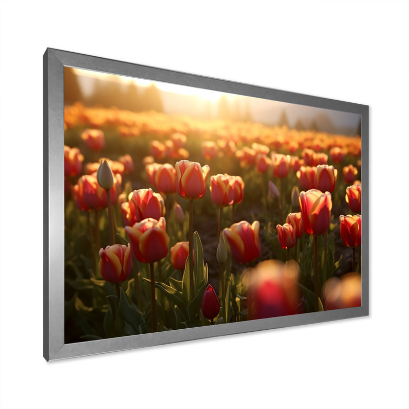 Tulip Field II, H 30 po x l 40 po x P 1,5 po, Cadre simple argenté