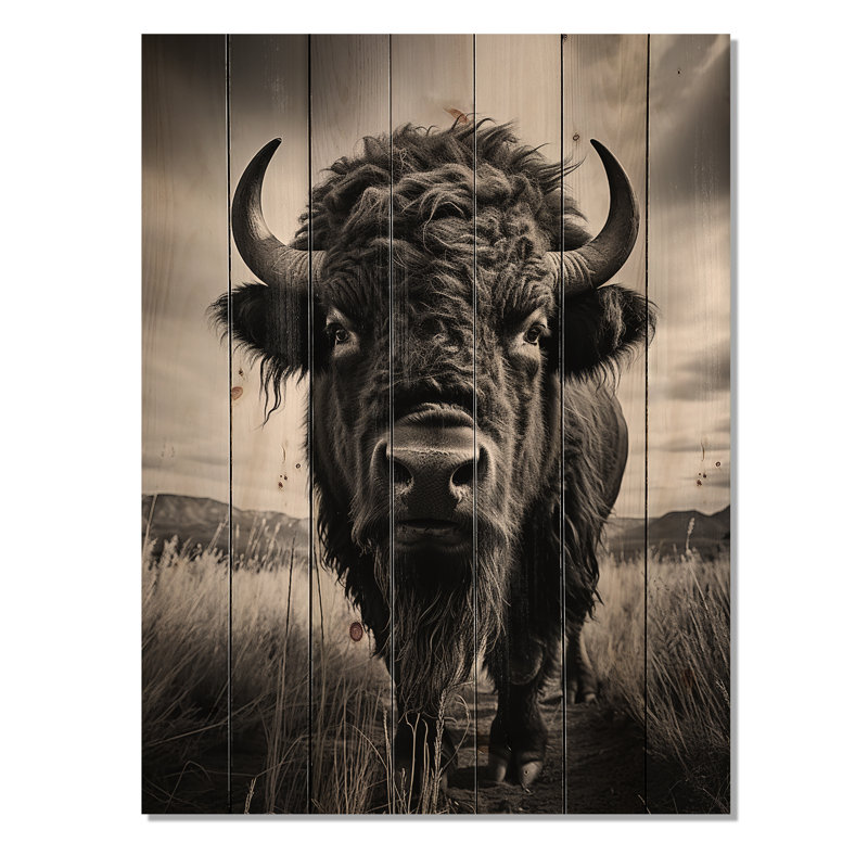 Contes de bison des Prairies sur bois, H 40 po x l 30 po x P 0,78 po