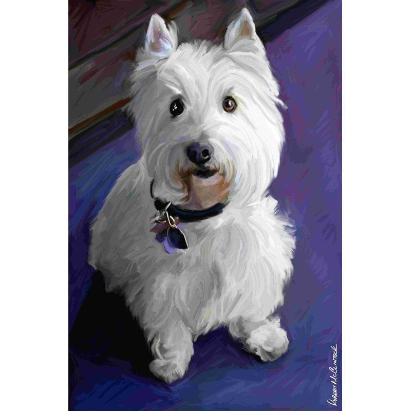 Terrier des Highlands de l'Ouest, H 18 po x l 12 po