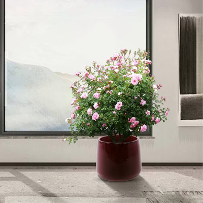 Ensemble de 4 pots de fleurs en céramique faits main, diamètres 7/9/11/14 pouces, émail rouge foncé moucheté, convient à toutes les fleurs, usage intérieur/extérieur (rebord de fenêtre, étagère), argile respirante