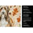 Brown Bearded Collie Heirloom Fall Kitchen Towel-1218231117