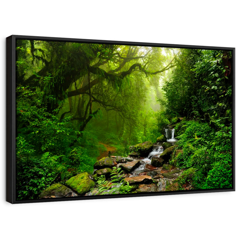 Forest Stream Canvas Print, 13" H x 19" W
