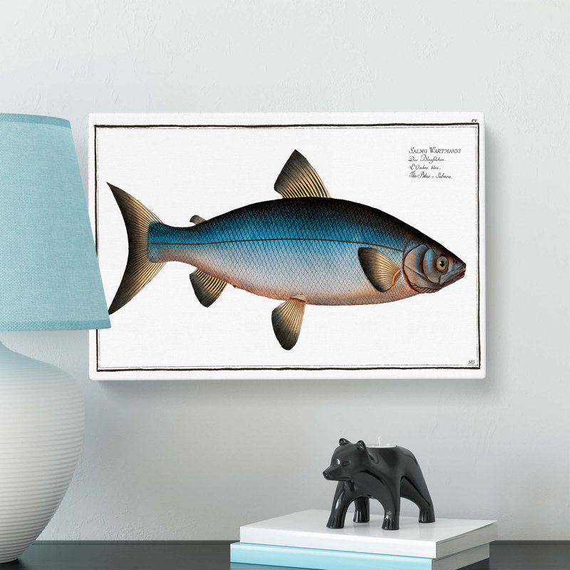 Blue Salmon Fish by M.E. Bloch - Wrapped Canvas, 50cm H x 76cm W x 3cm D