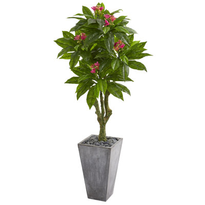 5.5ft. Plumeria Artificial Tree in Gray Planter UV Resistant (Indoor/Outdoor)