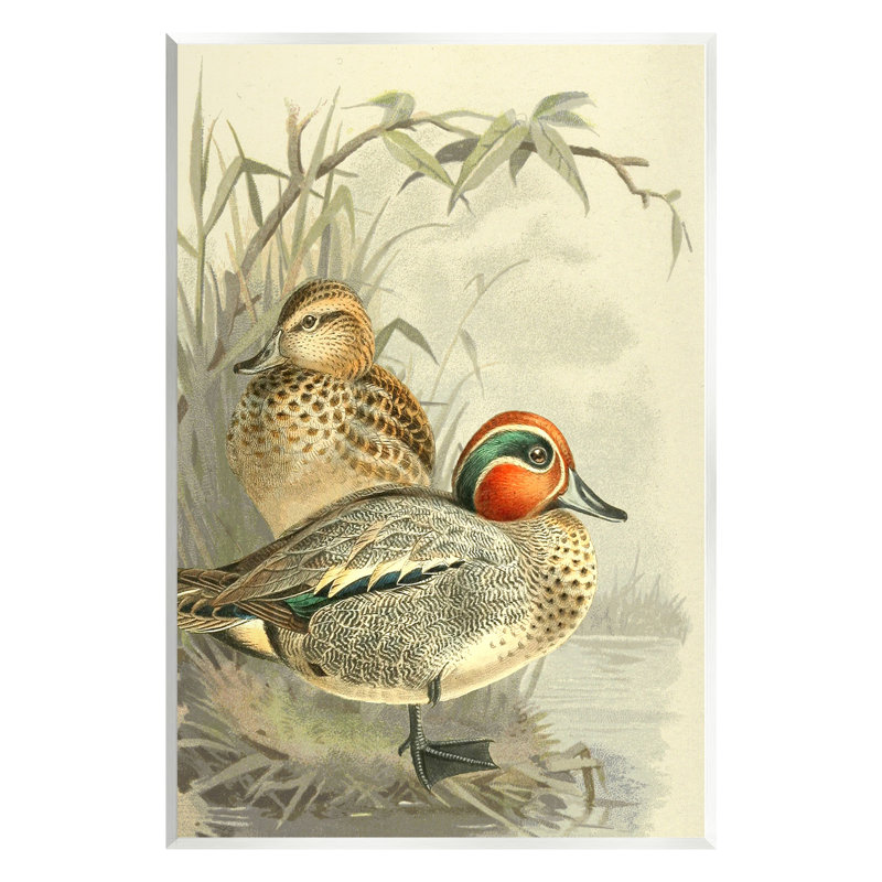«Ducks with Pond Botanicals» par Gail Fraser, H 19 po x l 13 po