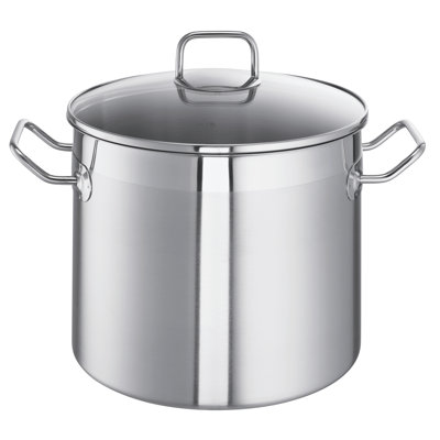 ProfessPlus i Stock Pot with Lid