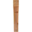 Attelle impériale du genou-29309856-31229279-31229375
