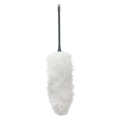 Dailonis Mop