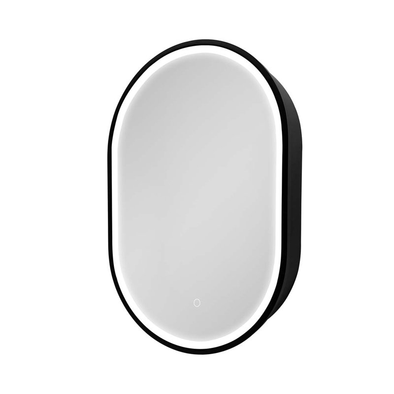 Armoire à pharmacie murale avec miroir en métal noir et cadre à DEL 31 x 21 po Kenul