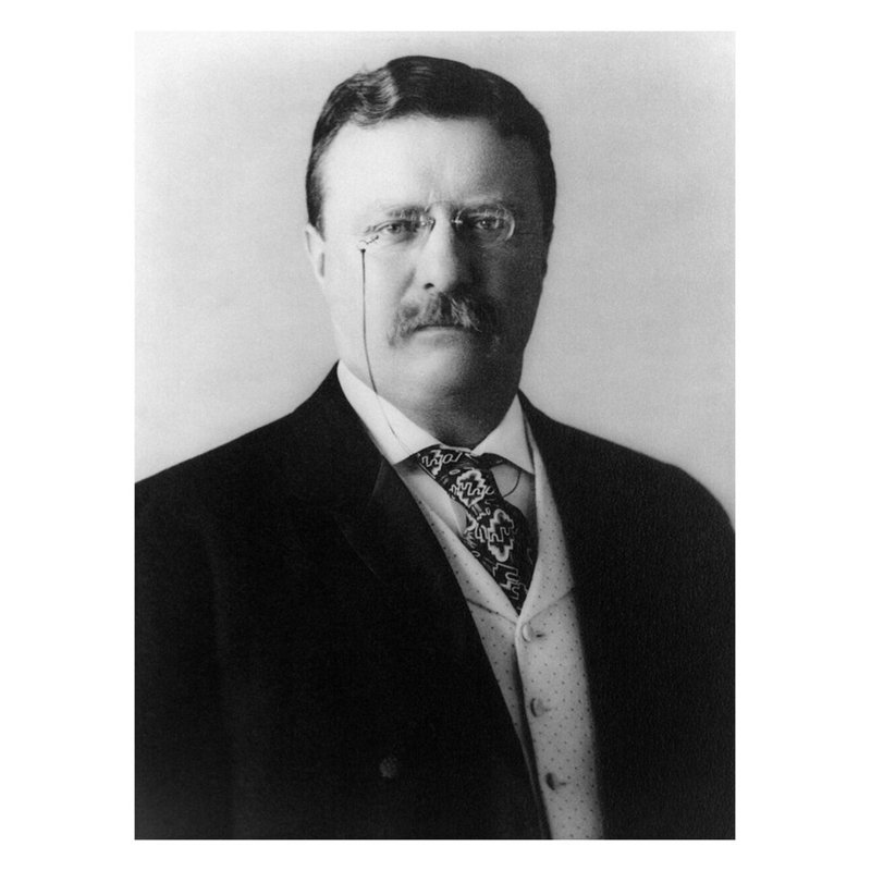 Theodore Roosevelt par Pach Brothers - Estampe numérique, H 28 po x l 22 po