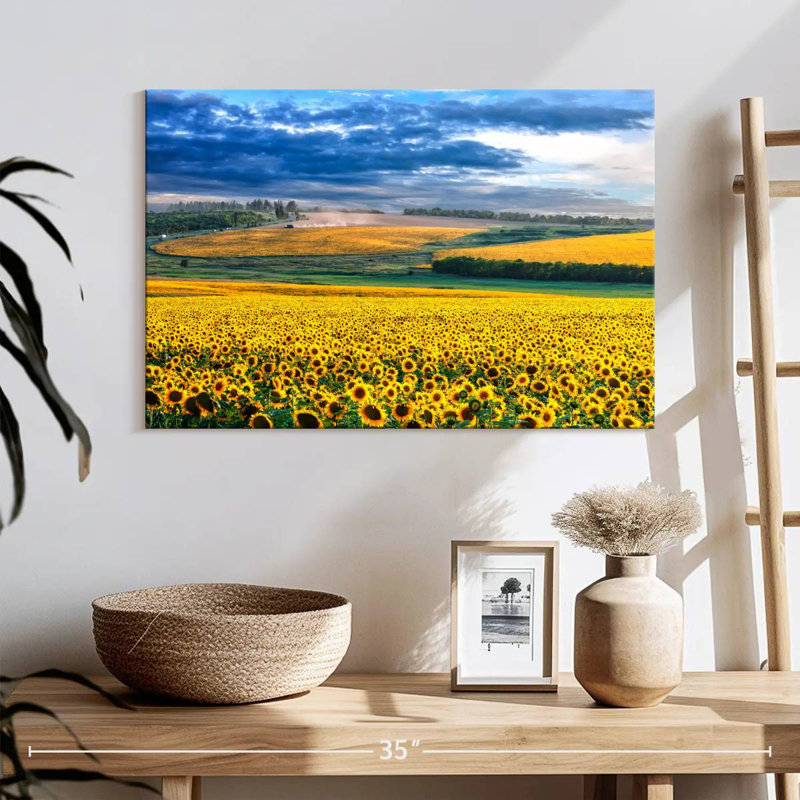 Champ de tournesols Alvord, H 16 po x l 24 po