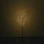 5'1" Christmas Black Lighted Outdoor Tree