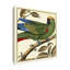 « tropical perroquet i », reproduction d’impression sur toile tendue-33425271