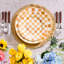 Pink Check Dinner Plate-1442850910