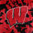 NCAA Knitted Throw Blanket-25193646