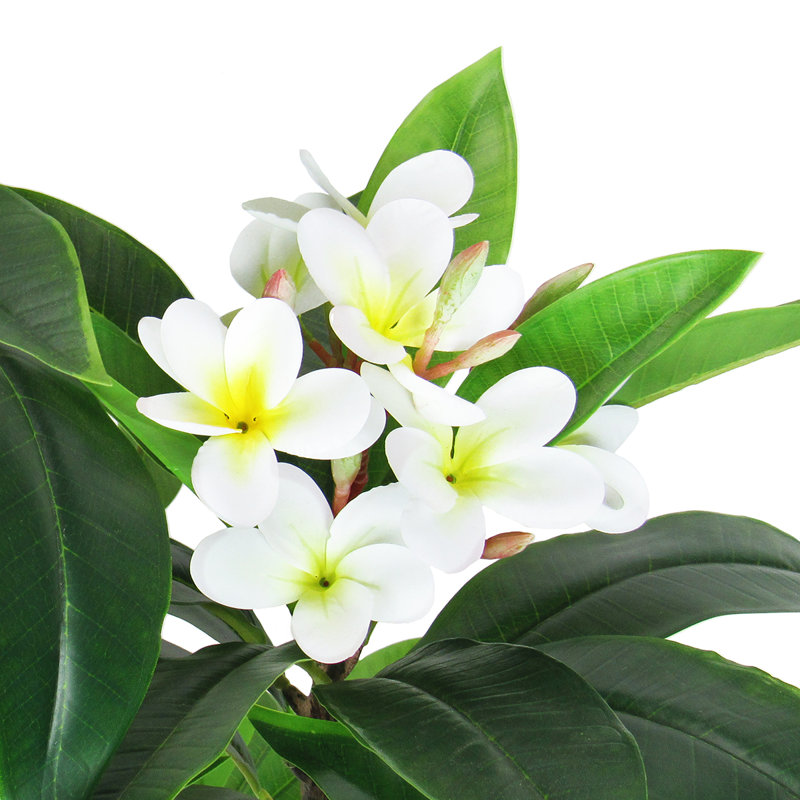 48" Artificial Plumeria Tree in Pot