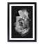 Rose Flower - Picture Frame Graphic Art Print-56857653-56857648