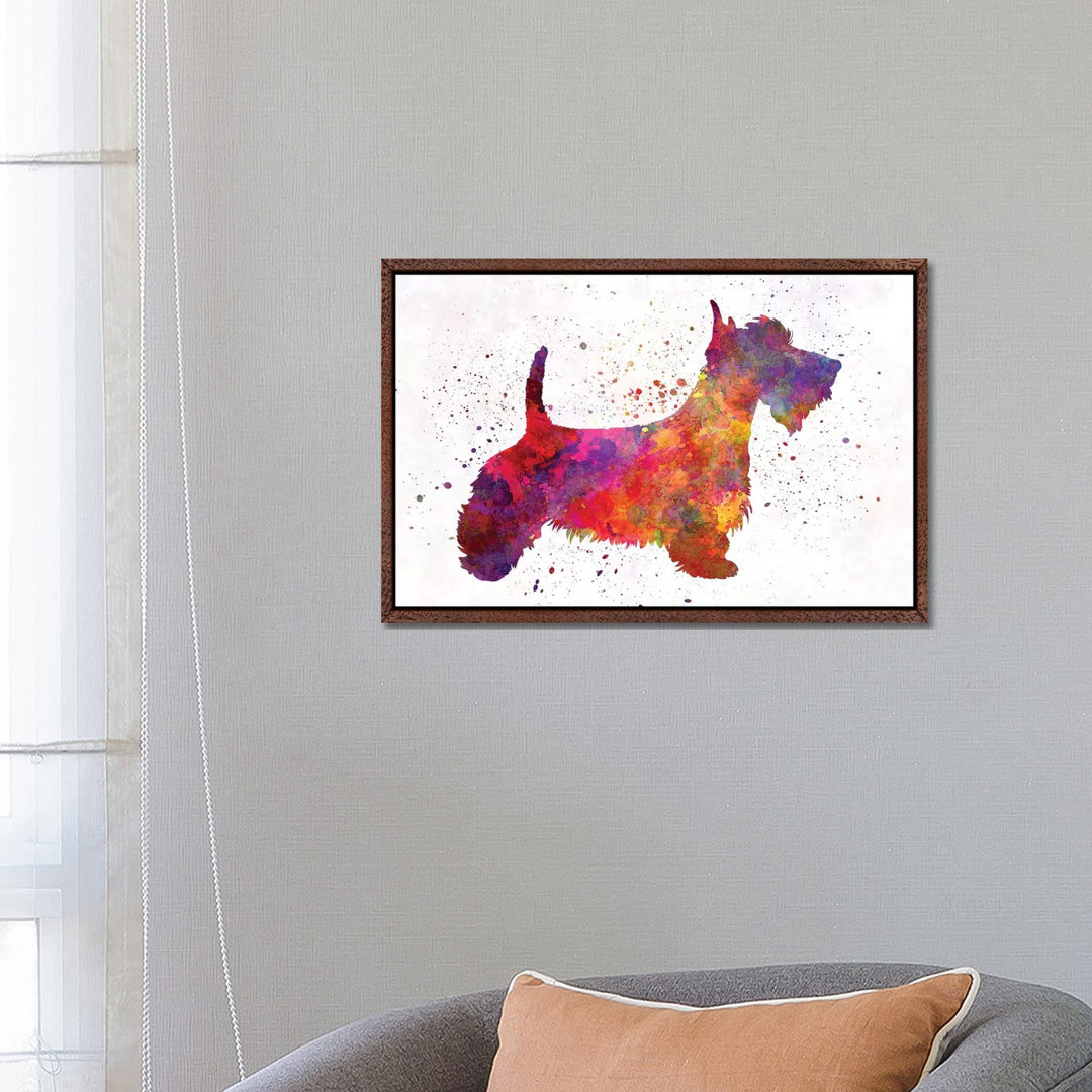 Scottish Terrier in Aquarell