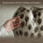 Rustic Handmade Spot Ceramic Accent Vase