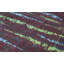 Neo Villa Abstract Area Rug in Red