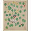Cherries Print by Paule Marrot-945136080-945136082