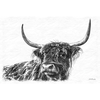 S Croquis Highland III - impression sur toile tendue