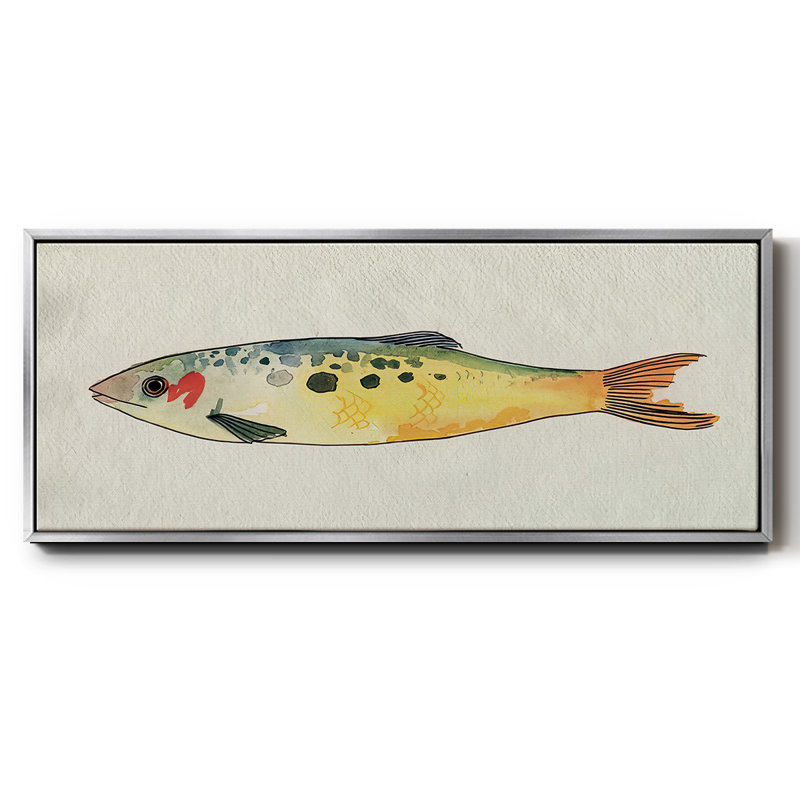 Fanciful Fish I- Framed Canvas, 20" H x 50" W