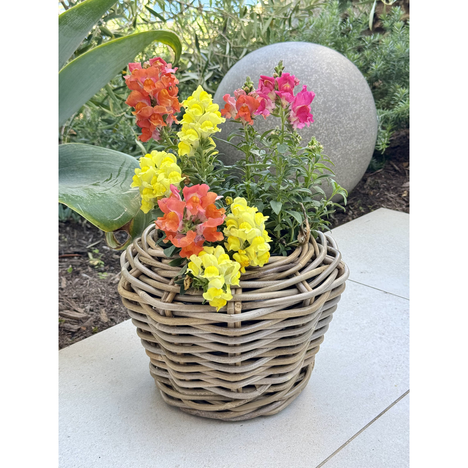 Ayriauna 22" Urn Planter, 8" H x 10.5" W x 10.5" D