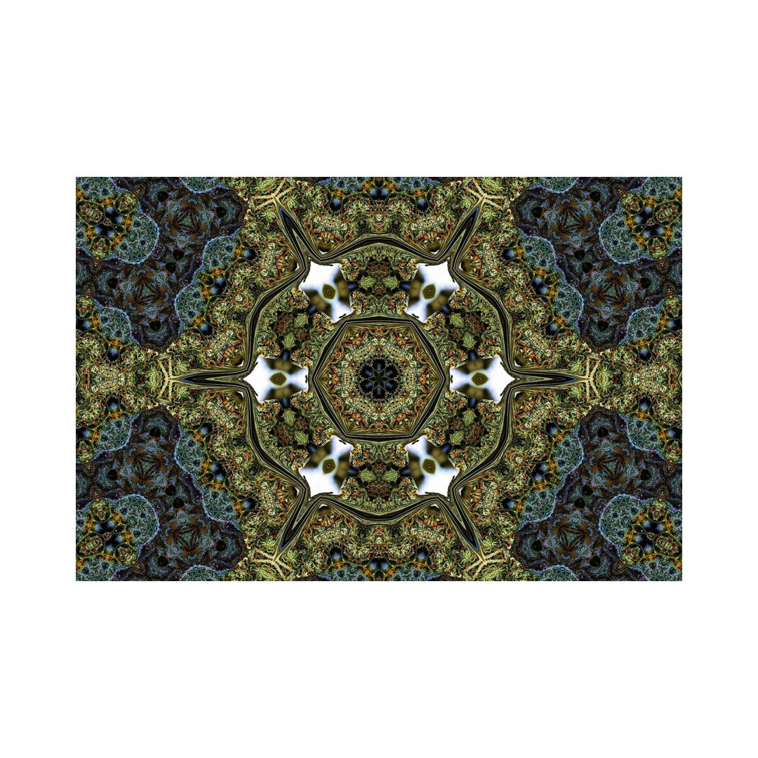 Cannabis Kaleidoscope II von Naum Dorkhman - Galerieverpackte Leinwand Giclée auf Leinwand ohne Rahmen