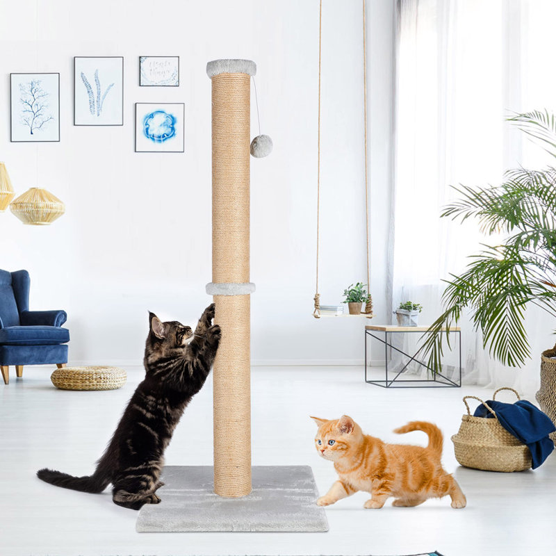Grattoir naturel en corde de sisal avec bal teaser suspendu et couvert