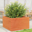 2 Wood Planter-100491942-100491949