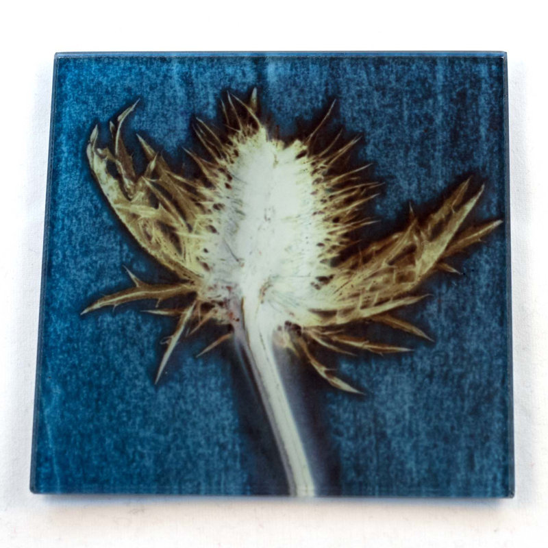 Glass Square 1 Piece Coaster, Blue