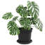 Pot Planter-894029783-894029780