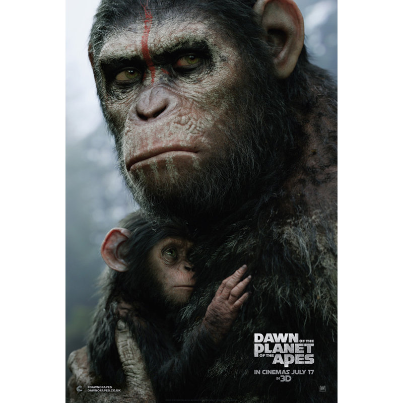 Aube de la planète des singes, H 24 po x l 16 po