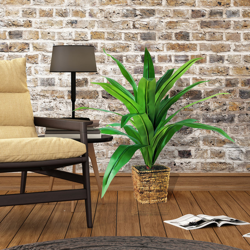 34'' Faux Dracaena Plant in Wicker/Rattan Basket