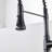 FURUISI Pull Down Kitchen Faucet-100865072