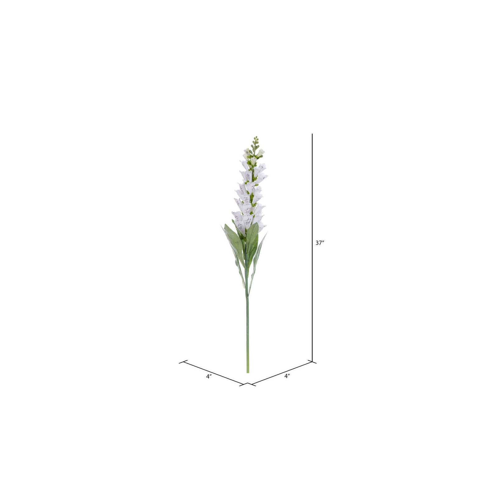 Fuchsia Stem, White