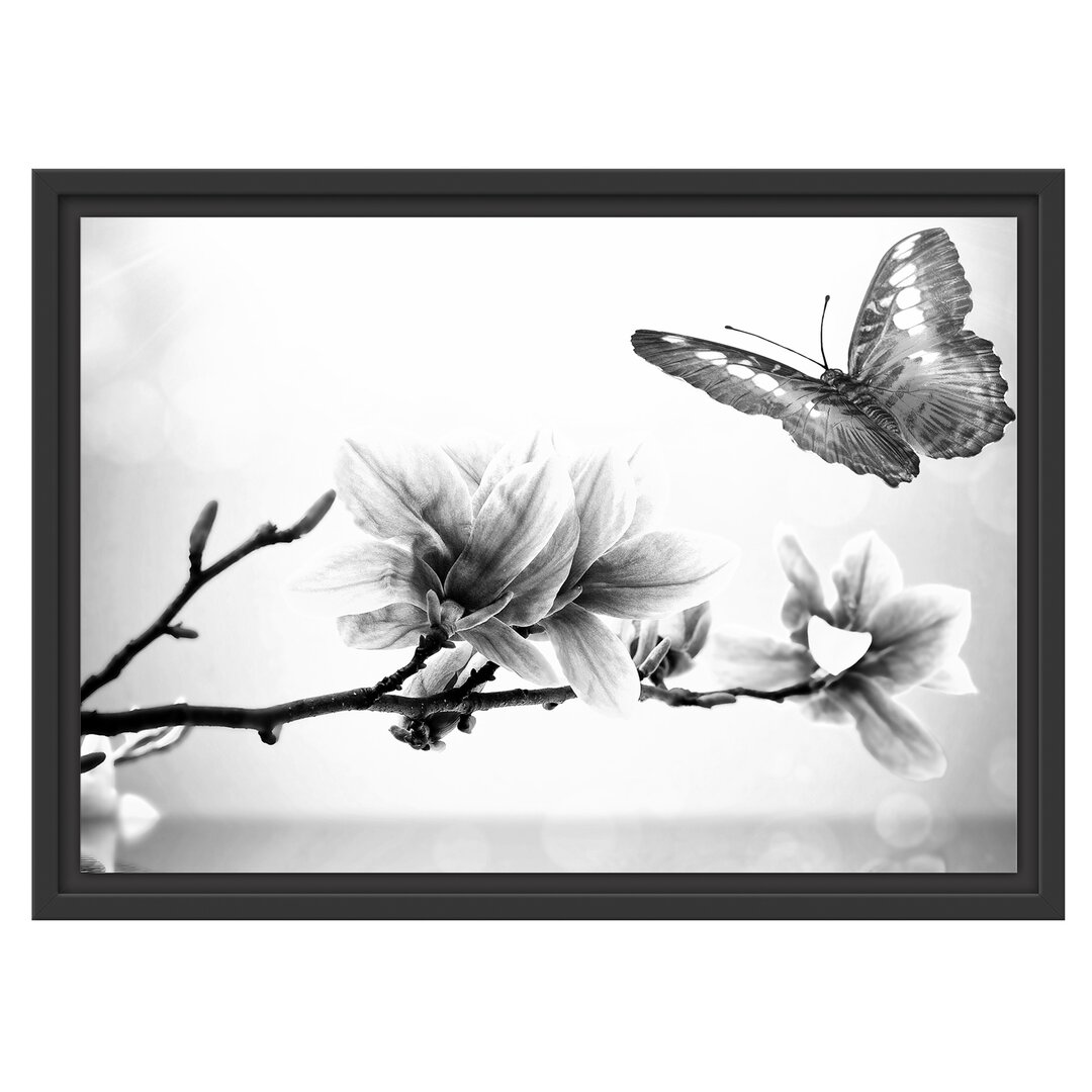 Gerahmtes Wandbild Schmetterling mit Magnolien-BlÃ¼te