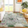 Machine Washable Indoor/Outdoor Molewski ACN2340 Floral Rug